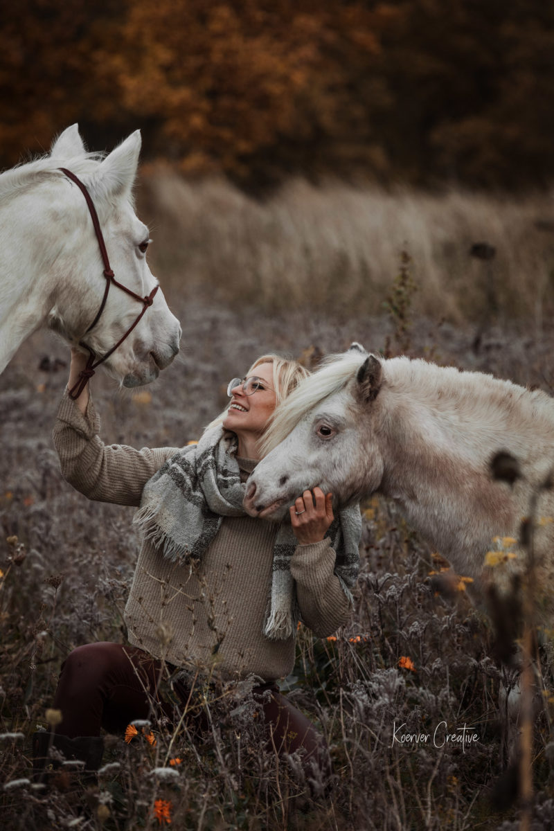 Zwei weiße Ponys in Goslar - Tierfotografie
