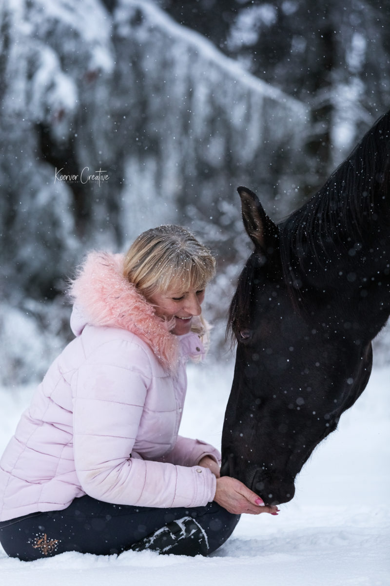 Schwarzes Pferd im Schnee - Schneeshooting in Clausthal