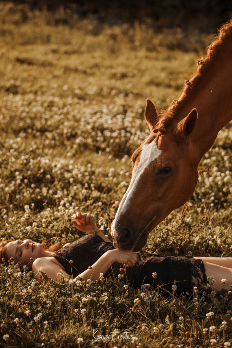 Sportpferd mit Besitzerin im Sonnenuntergang