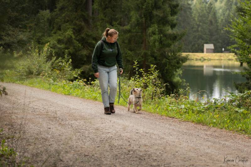 Eine junge Frau wandert mit ihrem Hund auf einem Wanderweg im Harz entlang eines Sees